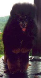 Lordmelsungen