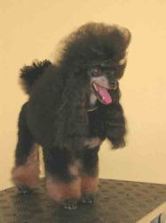 Galransbach
