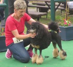 Ahlbeck2016046