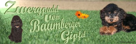 bannerbaumbergergipfel
