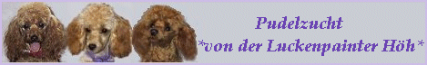 bannerluckenpainterhhe