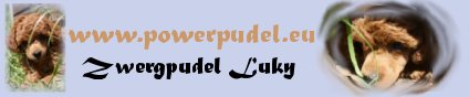 bannerluky