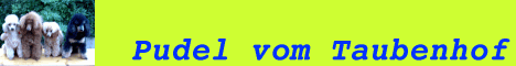 bannertaubenhof