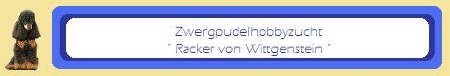bannerwittgenstein