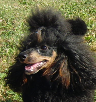 Cookie1Jahr 207.JPG