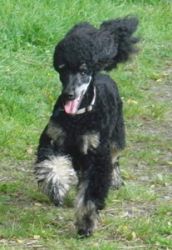 Flash1jahr027