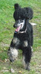 Flash1jahr040