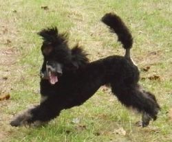 Flash1jahr486