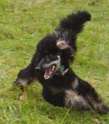 Flash1jahr491