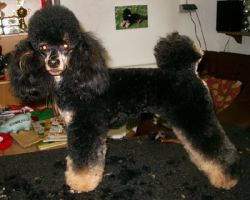 Schuren050