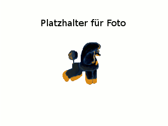 Platzhalter