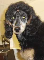 Oonagh5mo012