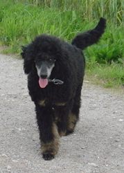 Curly6mo042