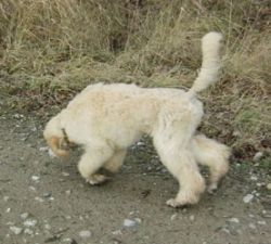 Oonaghundlivi4mo124
