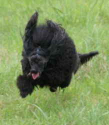 Mai2011303