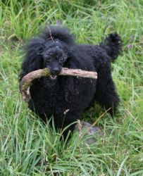 Mai2011429