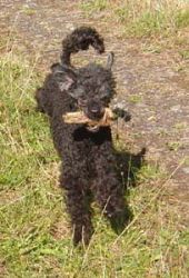 Timber5mo128