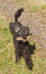 Timber5mo129