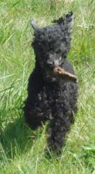 Timber5mo196