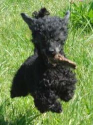 Timber5mo218