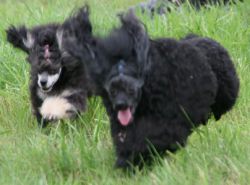 Mai2011290