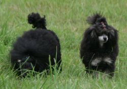 Mai2011320