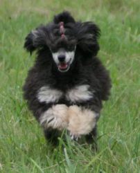 Mai2011325