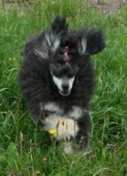 Mai2011377