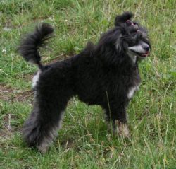 Mai2011427