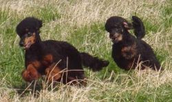 Uschi1jahr006