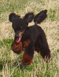 Uschi1jahr057
