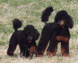 Uschi1jahr116