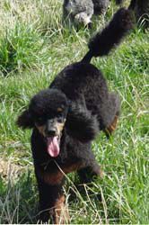 Uschi1jahr181