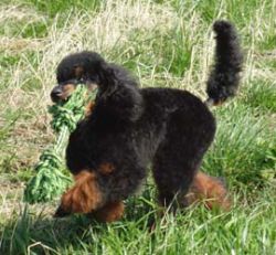 Uschi1jahr225