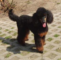Uschi1jahr342