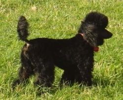 Xilli7mo157
